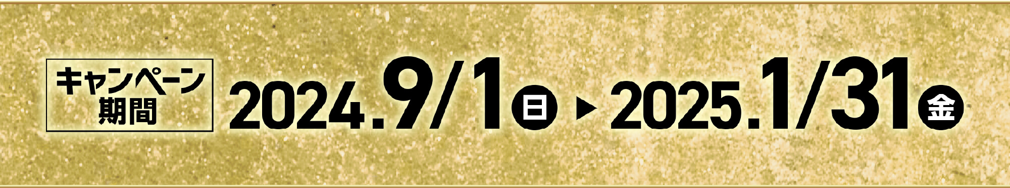 キャンペーン期間 2024/9/1〜2025/1/31